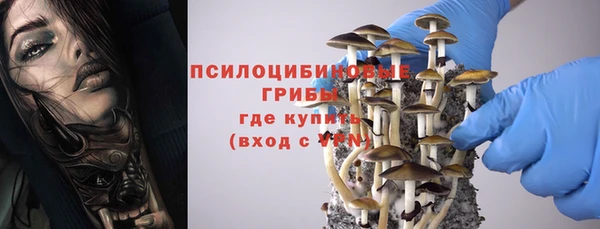 молекула духа Аркадак